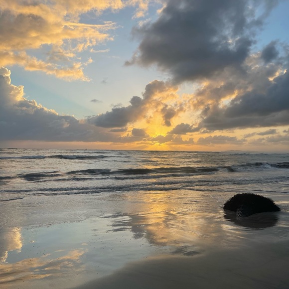 Hey! I’m Bryanna - Picture 3 of 3